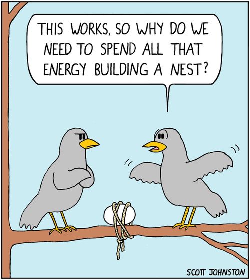 "This works, so why do we need to spend all that energy building a nest?"