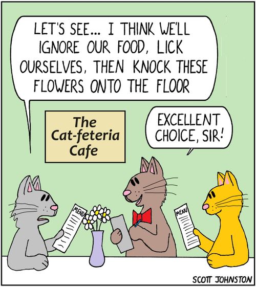 "Let's see... I think we'll ignore our food, lick ourselves, then knock these flowers onto the floor."