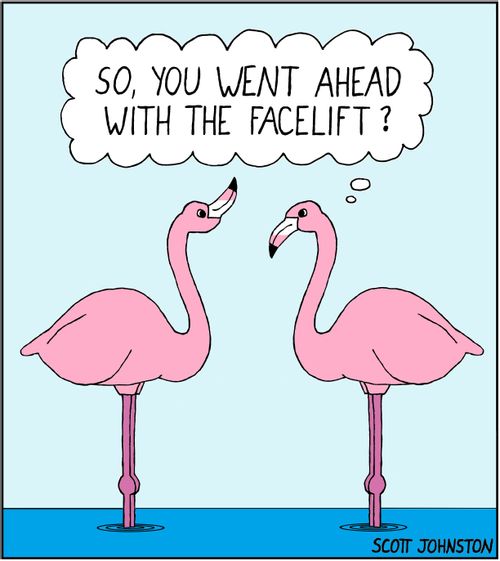 "So you went ahead with the facelift?"