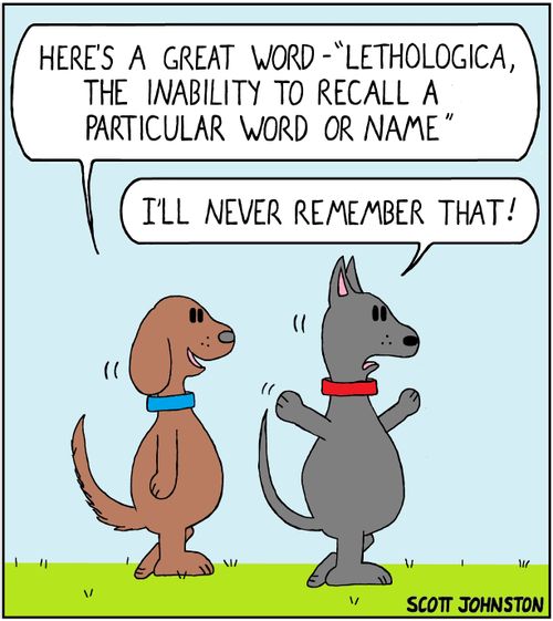 "Here's a great word - 'Lethologica, the inability to recall a particular word or name'."