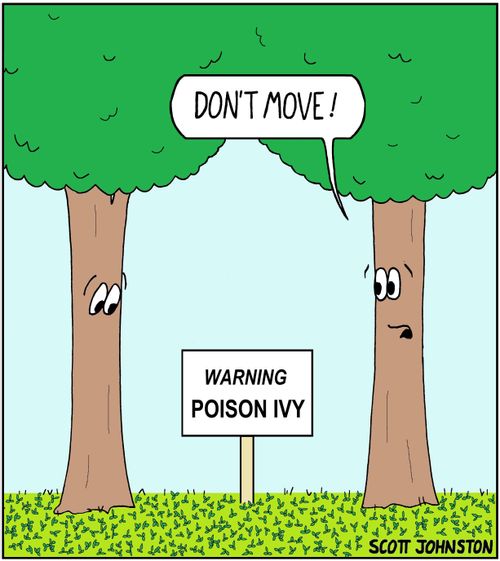 Don't move!   Warning poison ivy