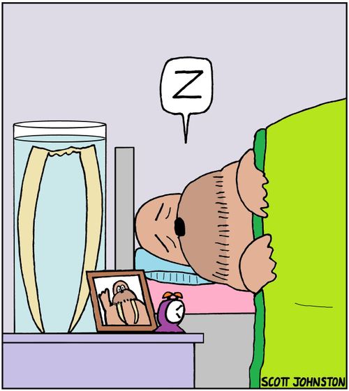Walrus Dentures