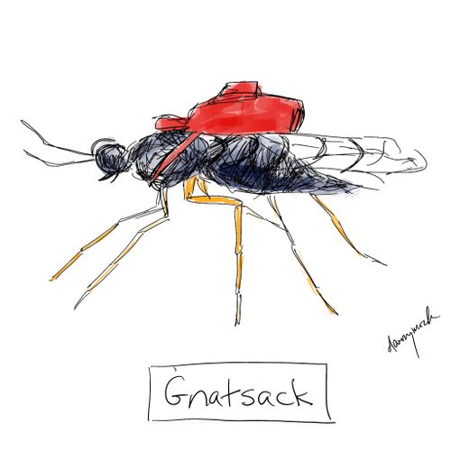 "Gnatsack"