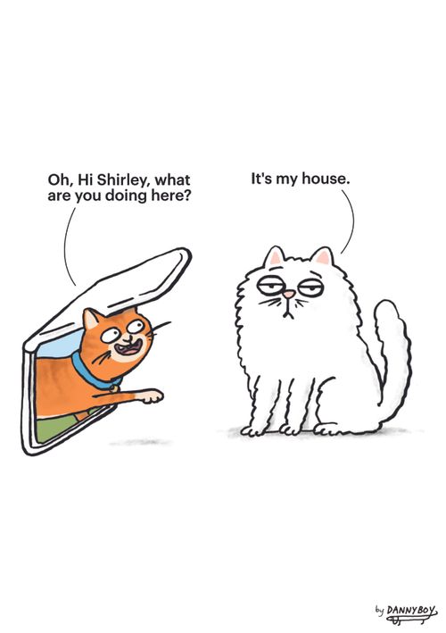 "Oh, Hi Shirley, what are you doing here?" "It's my house."