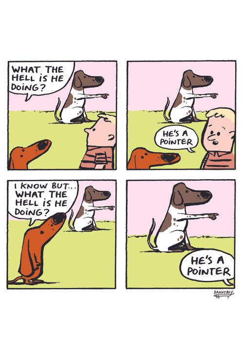 "What the hell is he doing?"  