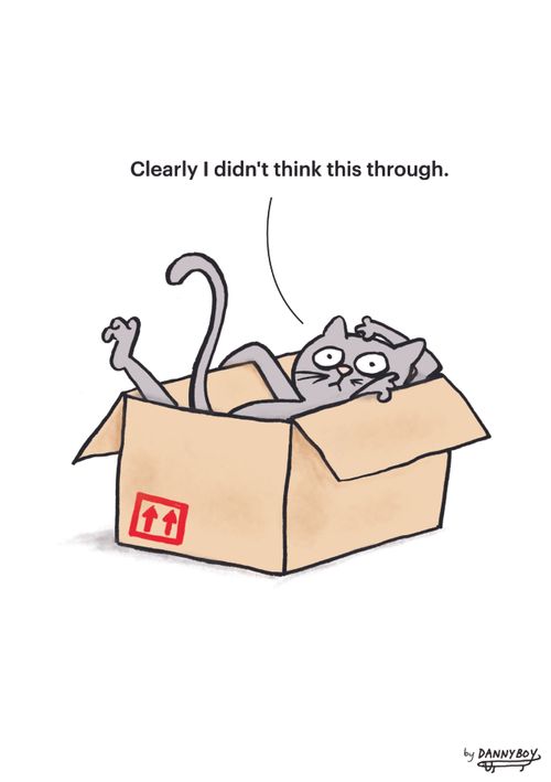 "Clearly I didn't think this through."