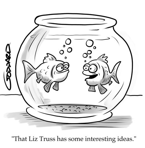 Goldfish "That Liz Truss has some interesting ideas."