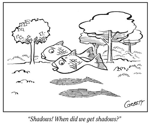"Shadows! When did we get shadows?"