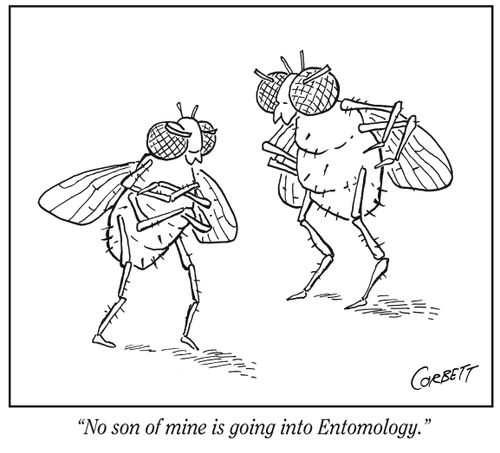 "No son of mine is going into entomology."