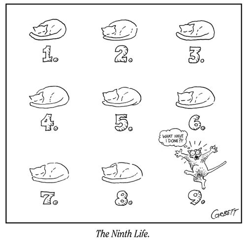 "The ninth life."