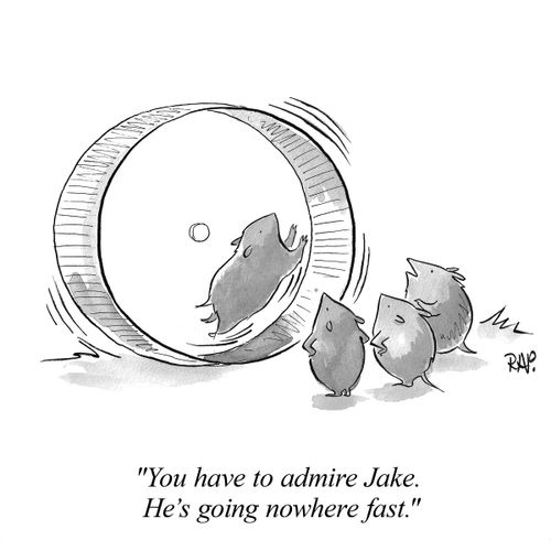 "You have to admire Jake. He's going nowhere fast."