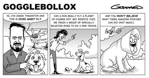 "Hi, I'm Jamie Theakston and this is Dogs Might Fly."