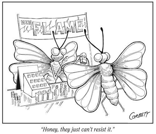 "Honey, they just can't resist it."