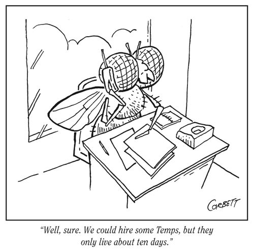 "Well, sure. We could hire some Temps, but they only live about ten days."