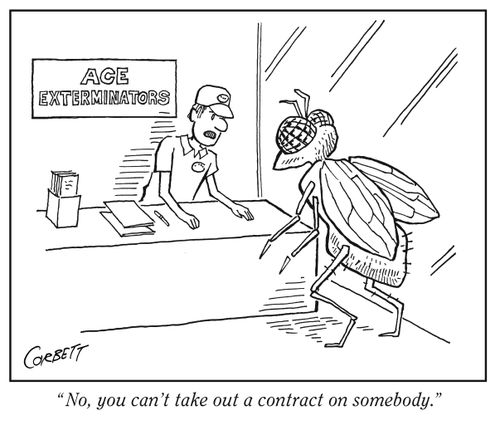 "No, you can't take out a contract on somebody."