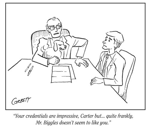 "Your credentials are impressive, Carter but... quite frankly, Mr. Biggles doesn't seem to like you."