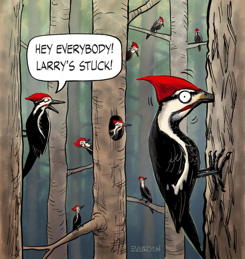 "Hey everybody! Larry's stuck!"