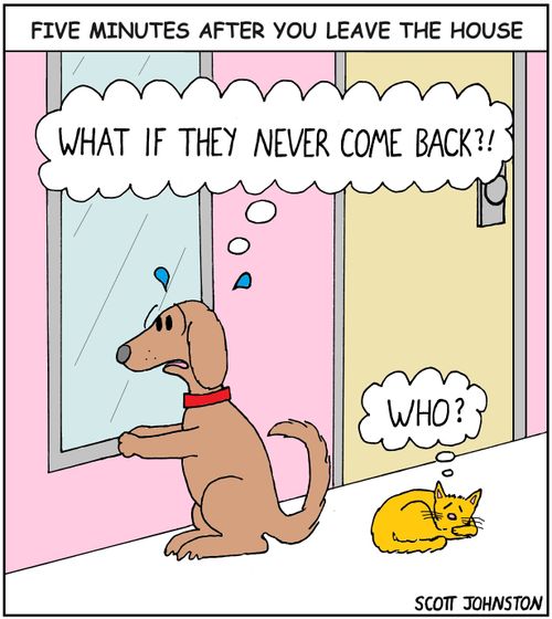 Five minutes after you leave the house: "What if they never come back?!"