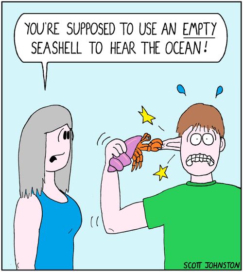 "You're supposed to use an empty seashell to hear the ocean!"