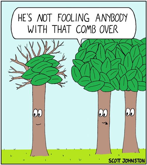 "He's not fooling anybody with that comb over."