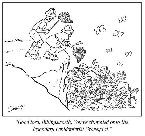 "Good lord, Billingsworth. You've stumbled onto the legendary Lepidopterist Graveyard."