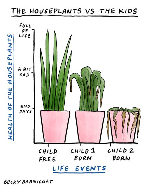 The Houseplants vs The Kids