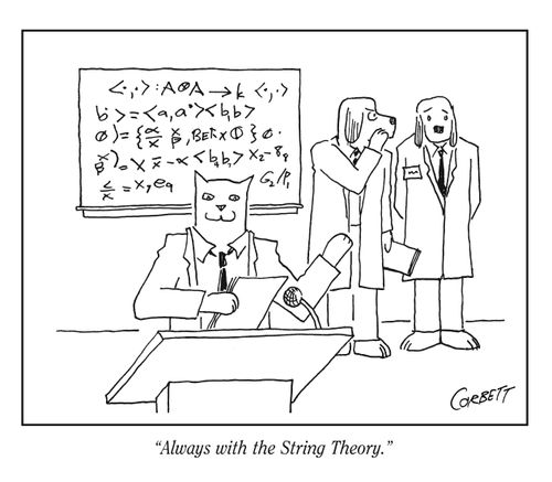 "Always with the String Theory."