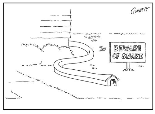 Beware of Snake
