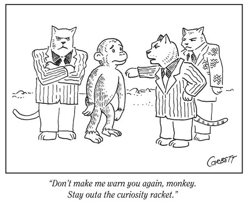 "Don't make me warn you again, monkey. Stay outa the curiosity racket."