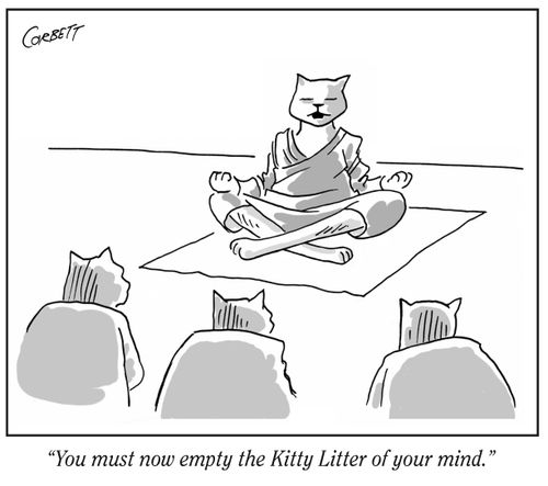 "You must now empty the Kitty Litter of your mind."
