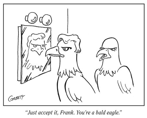 "Just accept it, Frank. You're a bald eagle."