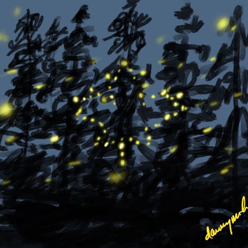 Christmas Lights