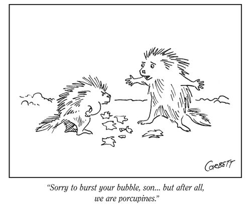 "Sorry to burst your bubble, son... but after all, we are porcupines."