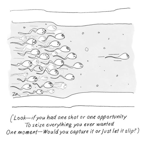 Look — if you had one shot or one opportunity to seize everything you ever wanted. One moment — Would you capture it or just let it slip?