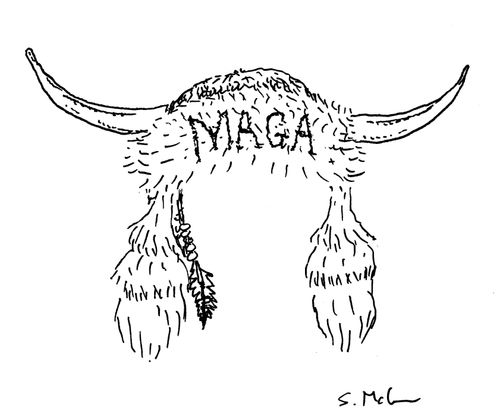 MAGA horns 