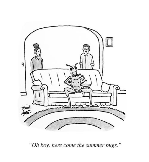 "Oh boy, her come the summer bugs."