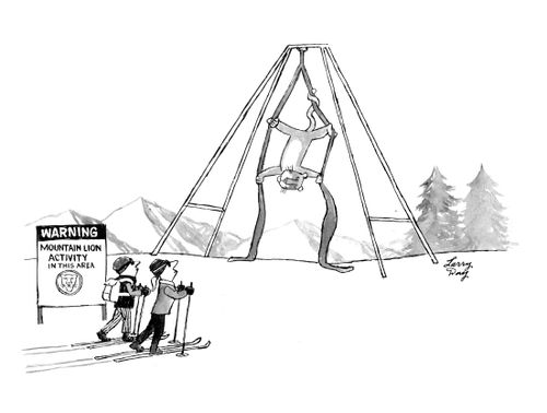"Warning: Mountain lion activity in this area."