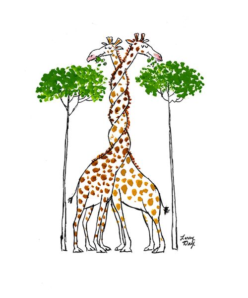 Romantic Giraffes