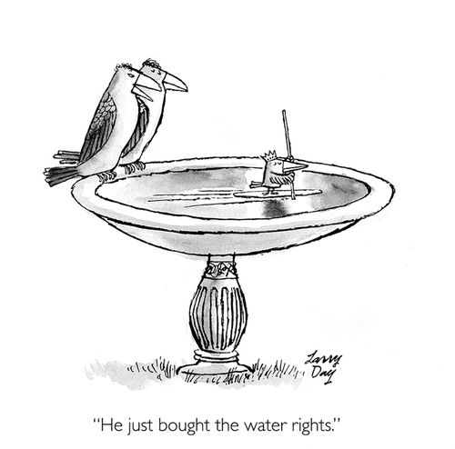 "He just bought the water rights."