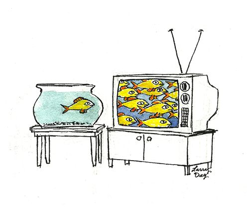 The Goldfish Bowl