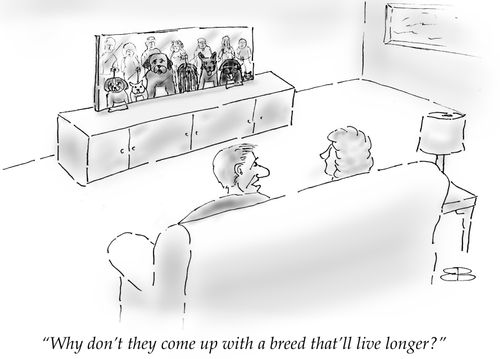 "Why don't they come up with a breed that'll live longer?"