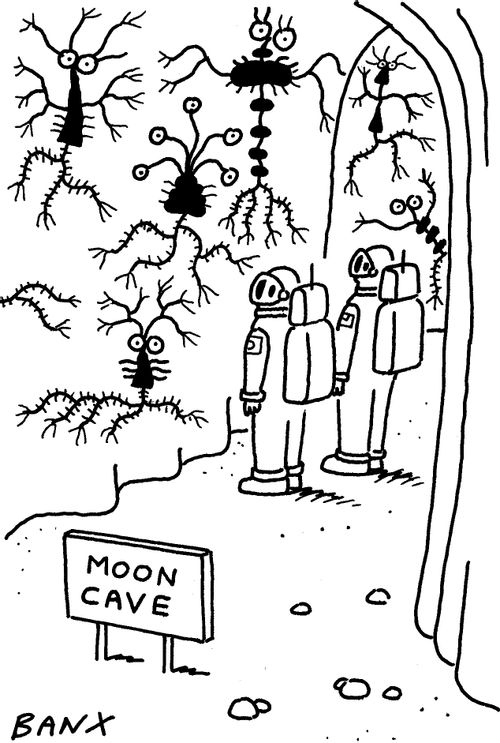 Moon Cave