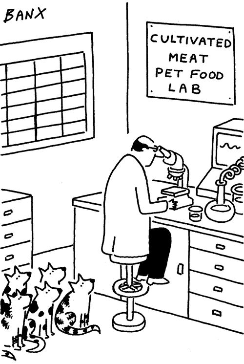 Cultivated Meat Pet Food Lab
