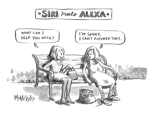 "Siri meets Alexa"   "What can I help you with?"  "I'm sorry, I can't answer that."