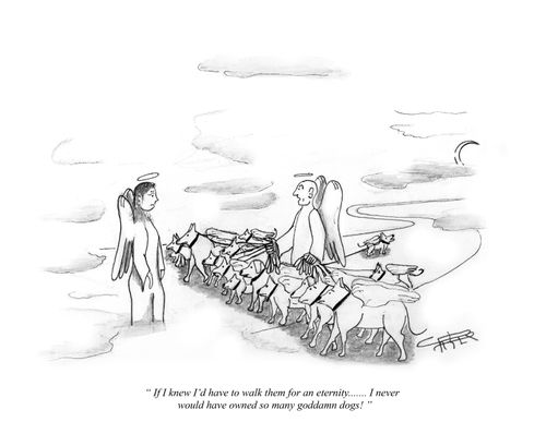 "If I knew I'd have to walk them for an eternity... I never would have owned so many goddamn dogs!"