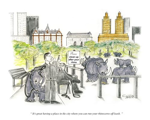"It's great having a place in the city where you can run your rhinoceros off leash."