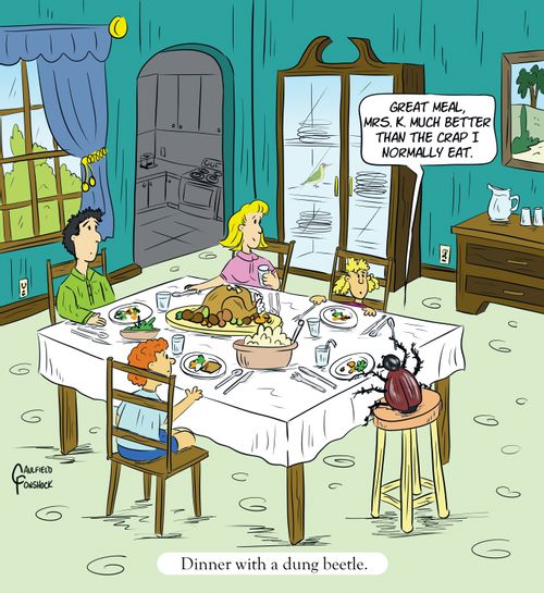 "Dinner with a dung beetle."