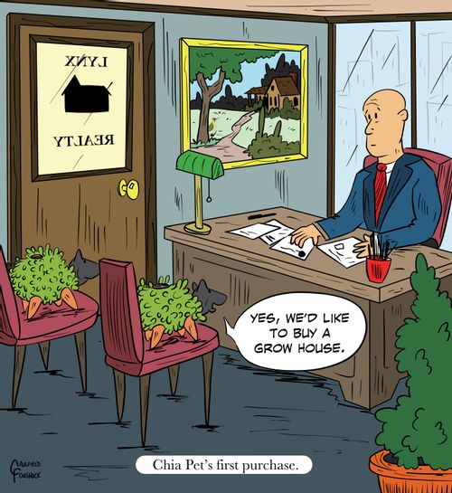 "Yes, we’d like to buy a grow house."  "Chia Pet’s first purchase."