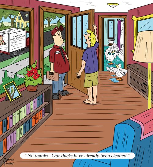"No thanks. Our ducks have already been cleaned."