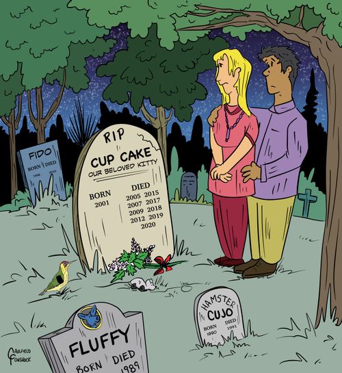 "RIP Cup Cake, our beloved kitty"